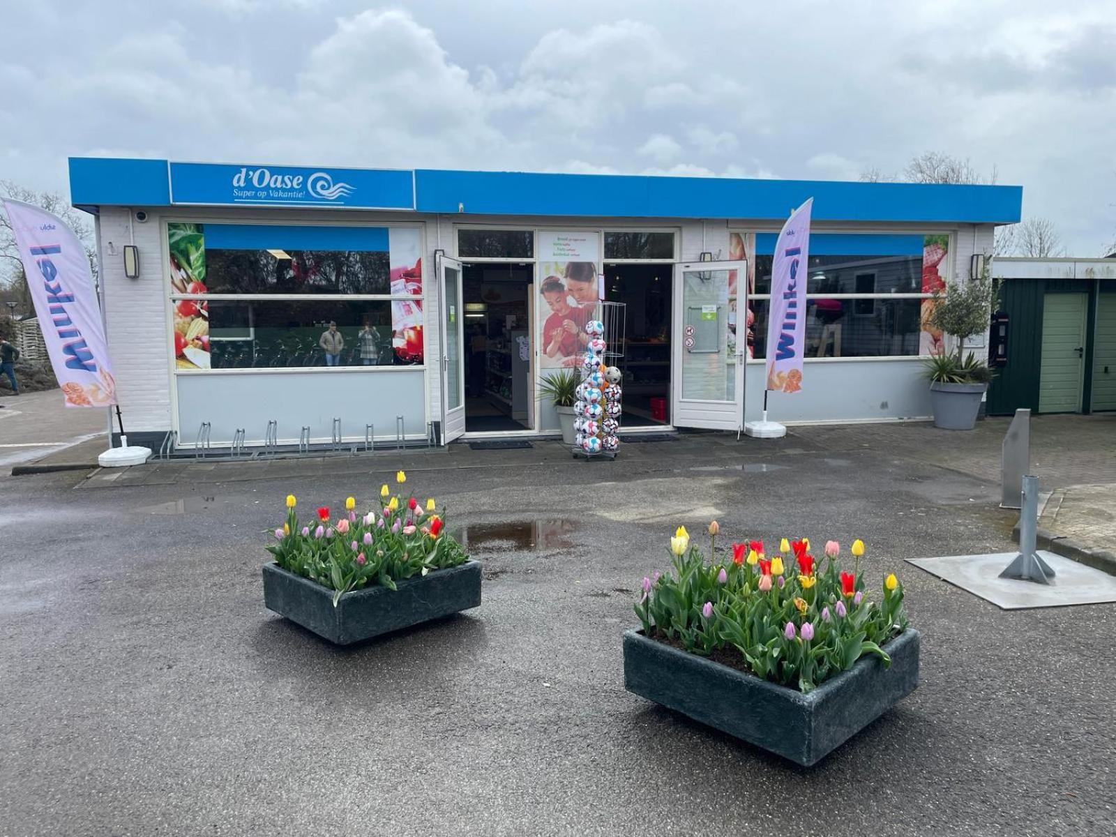 Bondi Renesse